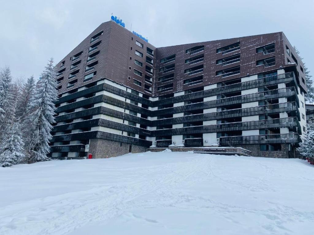 Alpin Resort Hotel - Apartamentele 2403-2404- Proprietate Administrata De Gazda Privata Пояна Брашов Екстериор снимка